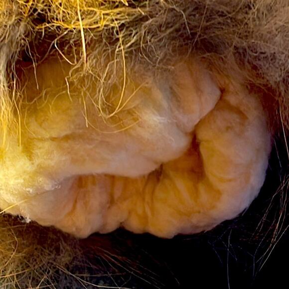 Exquisitely Beaded Tan Premium Buffalo Hide Gloves with Buffalo Fur Trim. OS - Picture 3 of 9